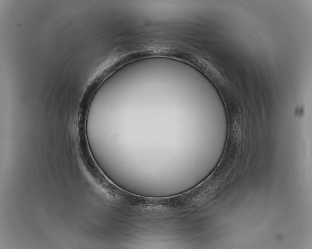 X0000090860730200708171604
