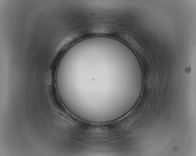 X0000090860731200708171604