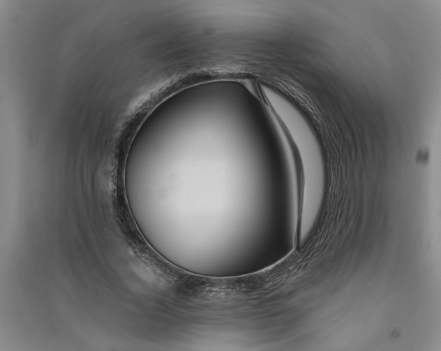 X0000090860732200708171605