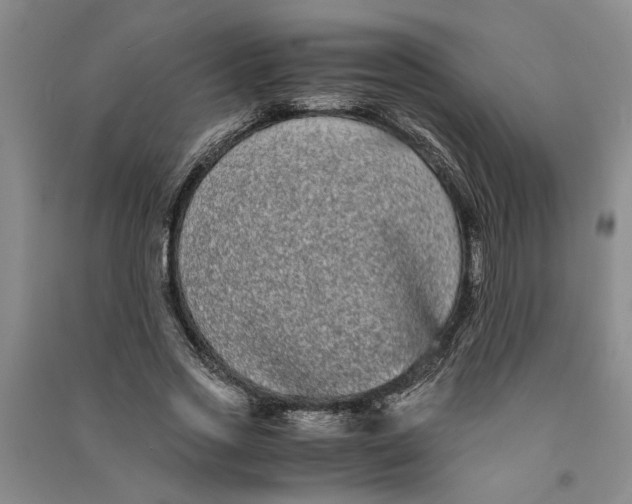 X0000090860733200708171605
