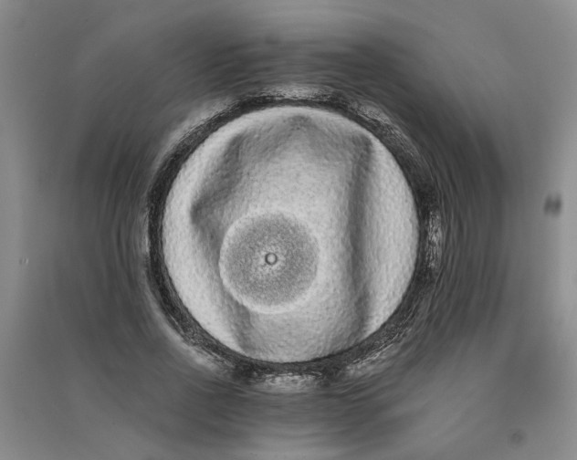 X0000090860734200708171605