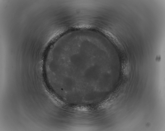 X0000090860735200708171605