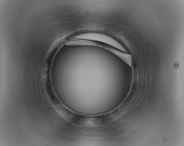 X0000090860736200708171605