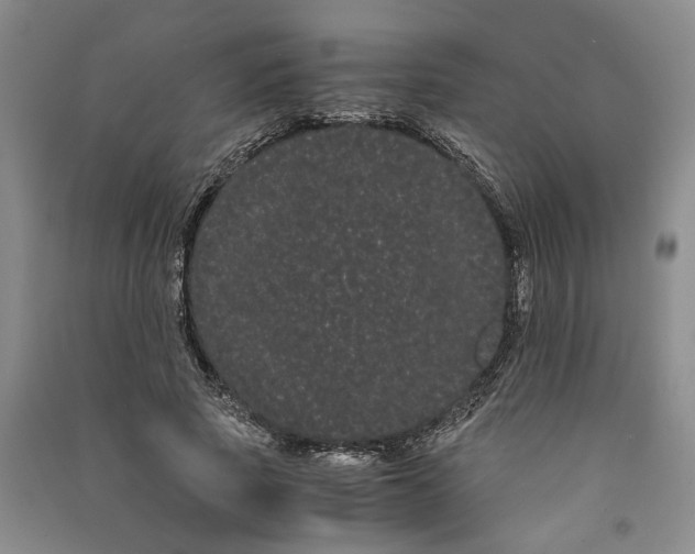 X0000090860737200708171605