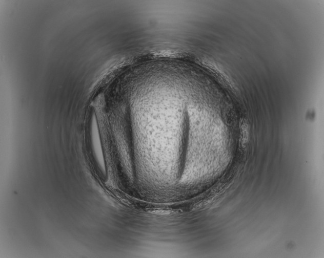 X0000090860738200708171605