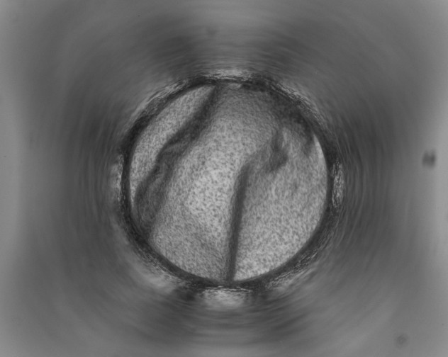 X0000090860739200708171605