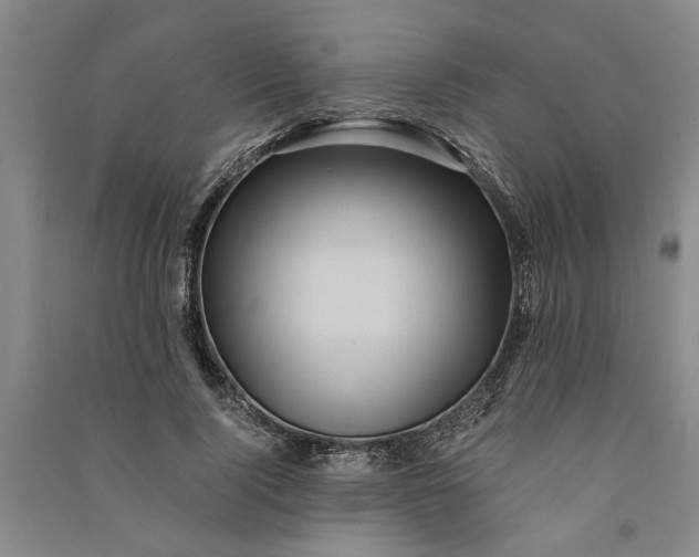 X0000090860740200708171605
