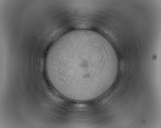 X0000090860741200708171605