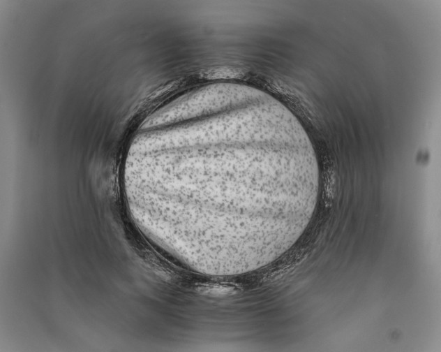 X0000090860743200708171605