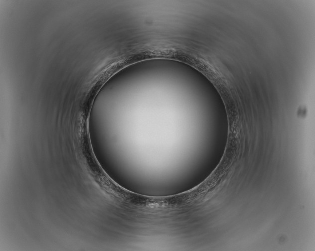 X0000090860744200708171605