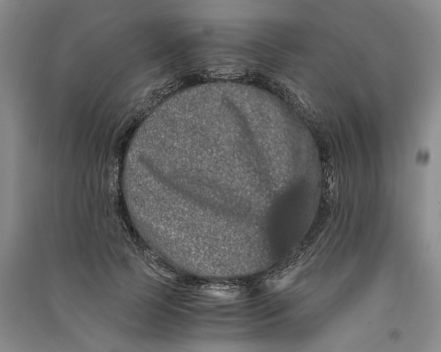 X0000090860745200708171605