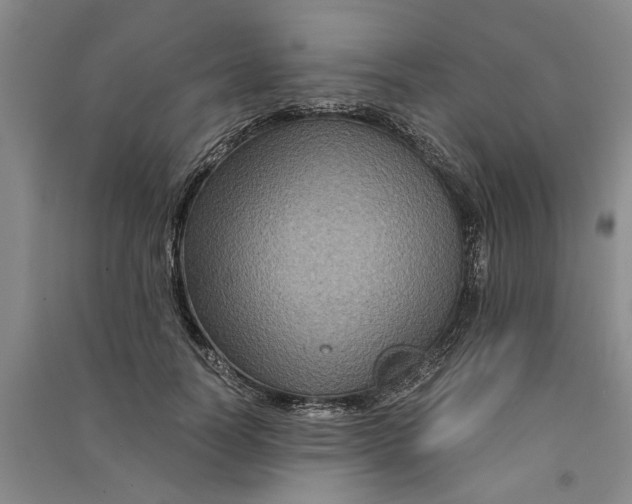 X0000090860746200708171605