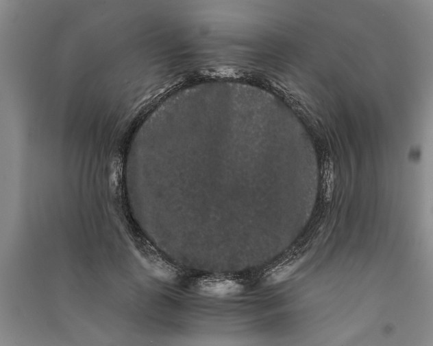 X0000090860747200708171605