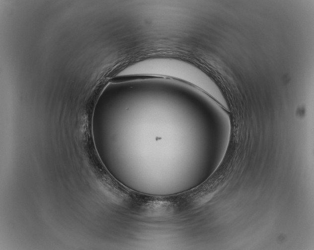 X0000090860748200708171605