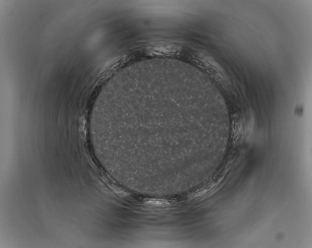 X0000090860749200708171605