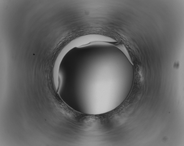 X0000090860750200708171605