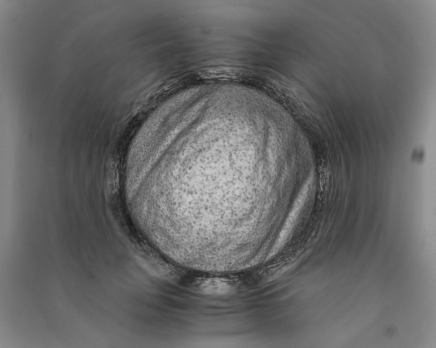 X0000090860751200708171605