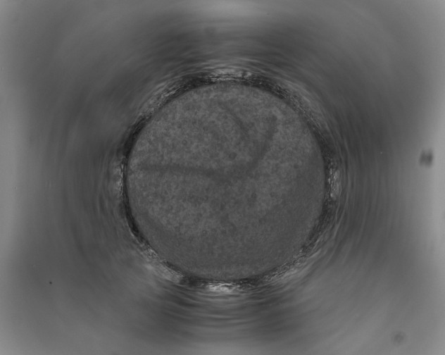 X0000090860753200708171605