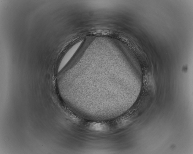 X0000090860755200708171605