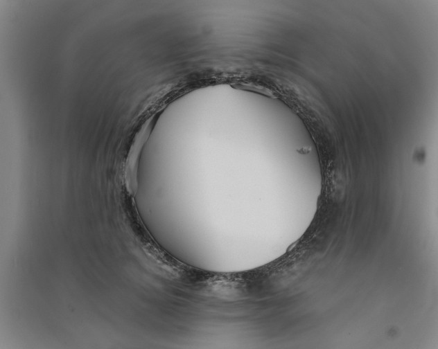 X0000090860756200708171605