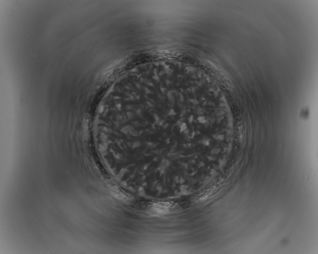 X0000090860757200708171605