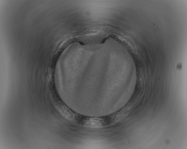 X0000090860758200708171605