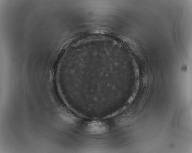 X0000090860759200708171605