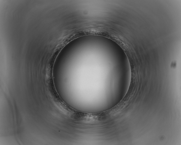 X0000090860760200708171605