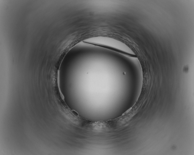 X0000090860762200708171605