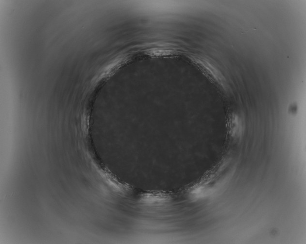 X0000090860763200708171605