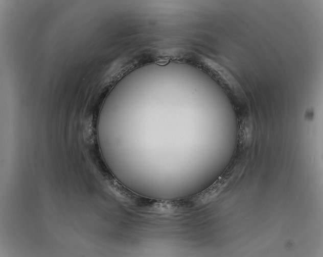 X0000090860764200708171605