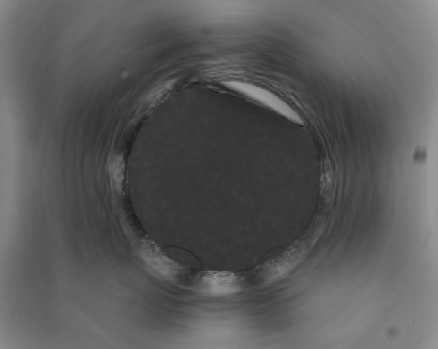 X0000090860767200708171605
