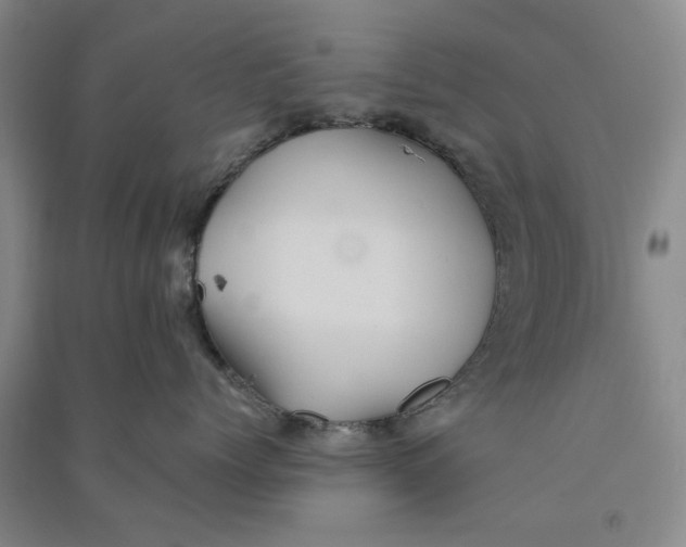 X0000090860768200708171605