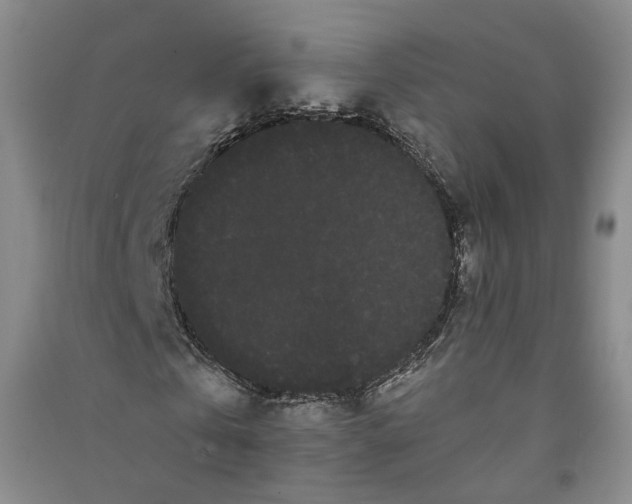 X0000090860769200708171604