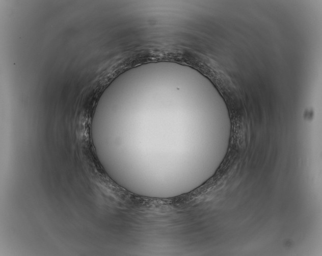 X0000090860770200708171604