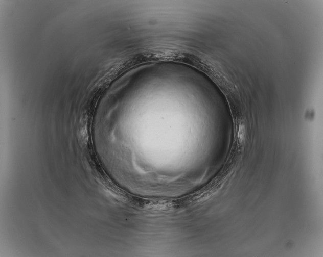 X0000090860771200708171604