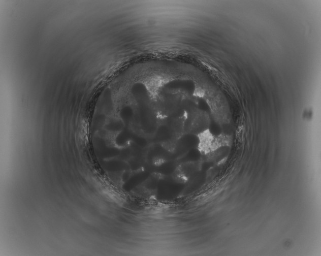 X0000090860772200708171604