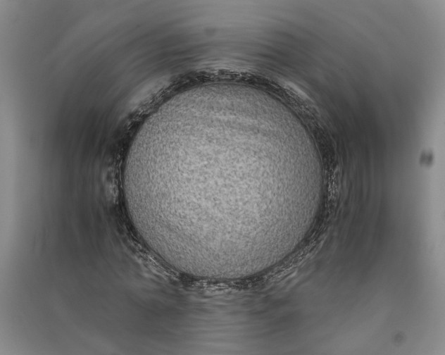 X0000090860774200708171604