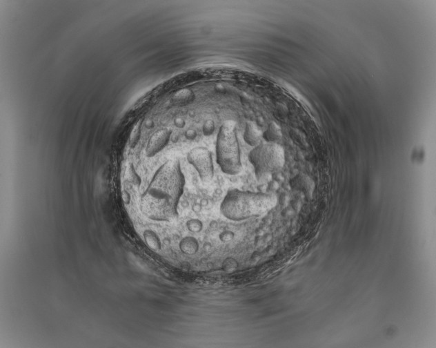X0000090860775200708171604