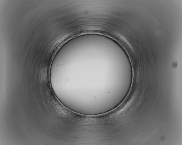 X0000090860777200708171604