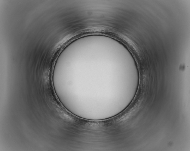 X0000090860778200708171604