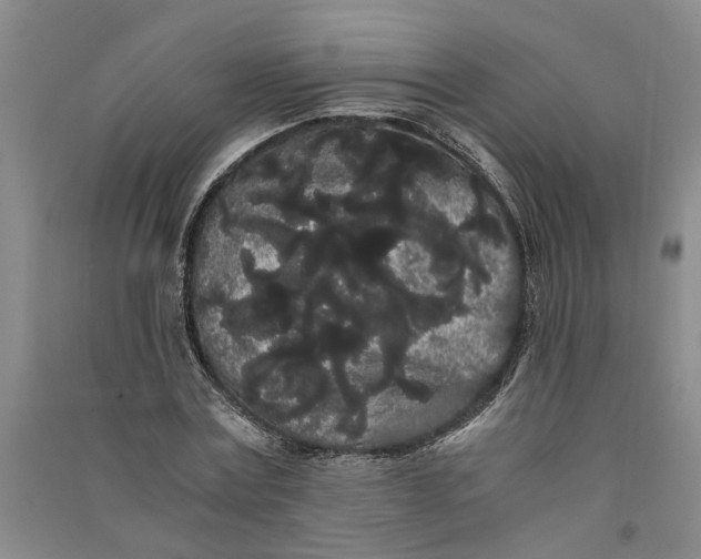 X0000090860779200708171604
