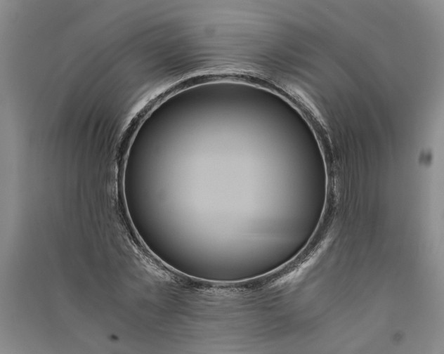 X0000090860781200708171604