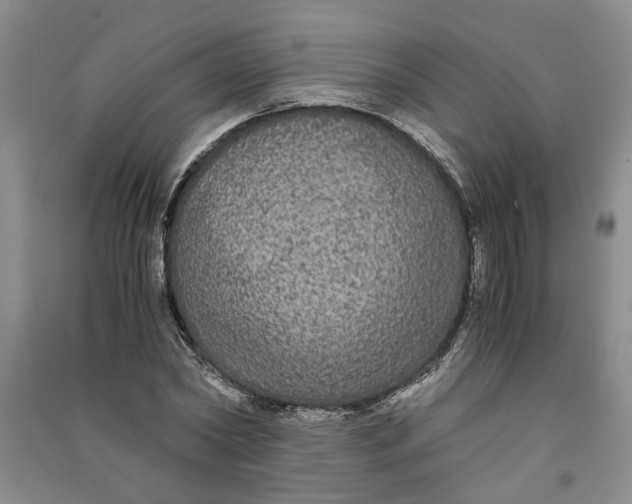 X0000090860782200708171604