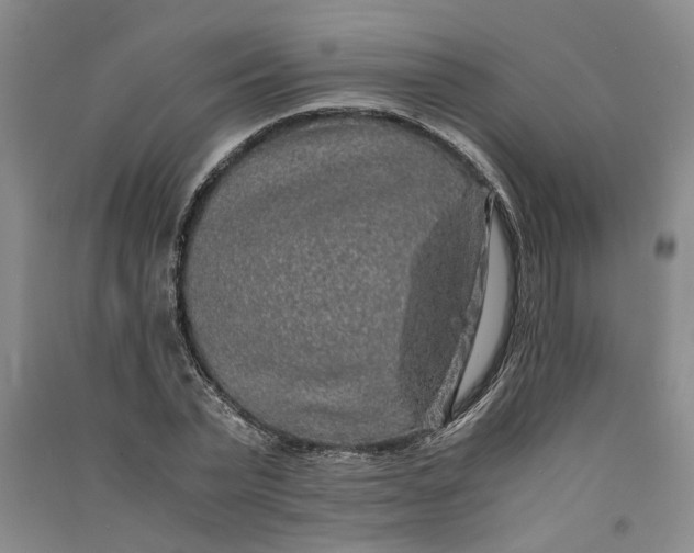X0000090860783200708171604