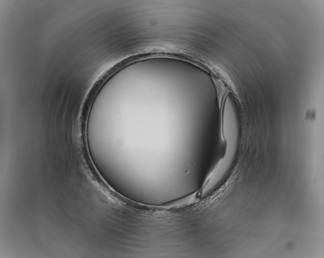 X0000090860784200708171604