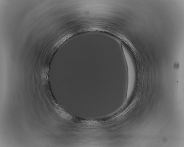 X0000090860785200708171604