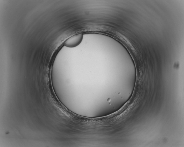 X0000090860786200708171604