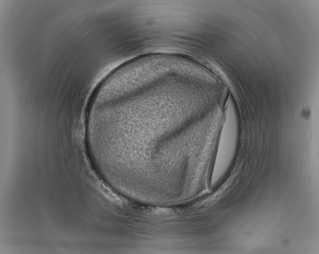 X0000090860787200708171604