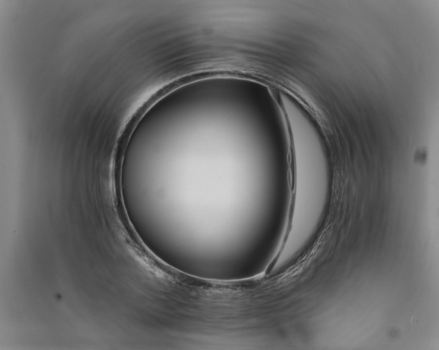X0000090860788200708171604